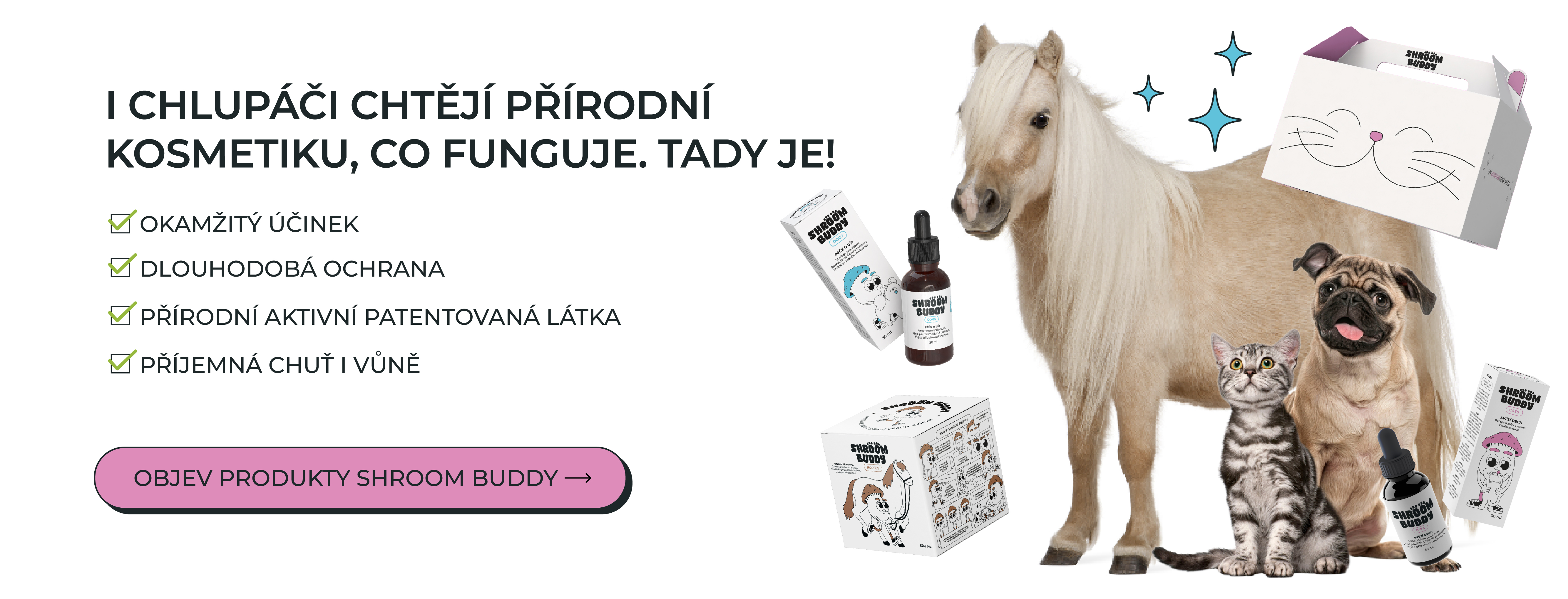 Shroom Buddy – Parťák pro zdraví tvého nejlepšího kámoše!